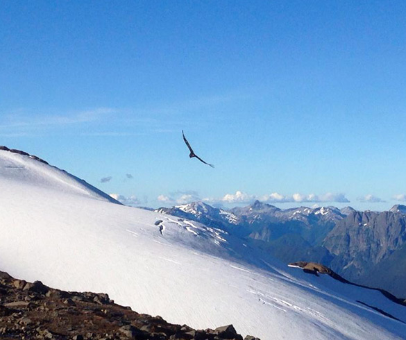 Actividades en Cerro Tronador