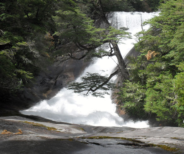 Actividades y excursiones lacustres en Brazo Tristeza