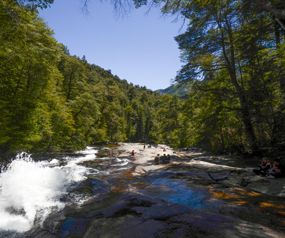 Actividades y excursiones lacustres en Brazo Tristeza