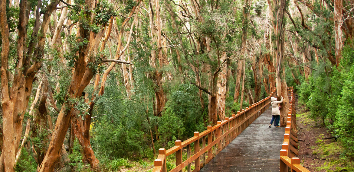 Atividades e excursões lacustres na Isla Victoria