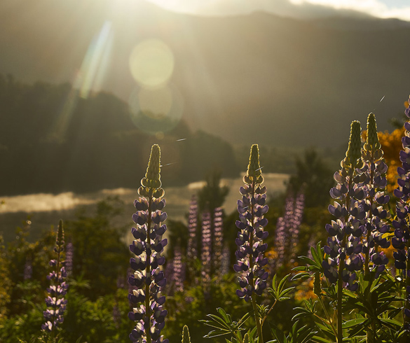 What To Do in Guillelmo Lake