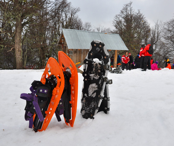 Actividades con raquetas de nieve