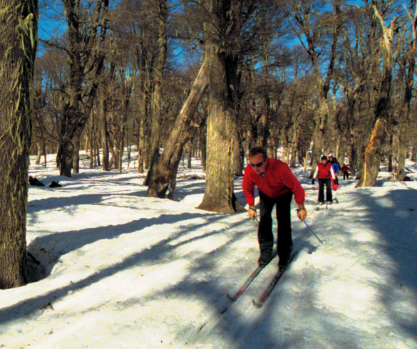 Actividades de esquí de travesía 