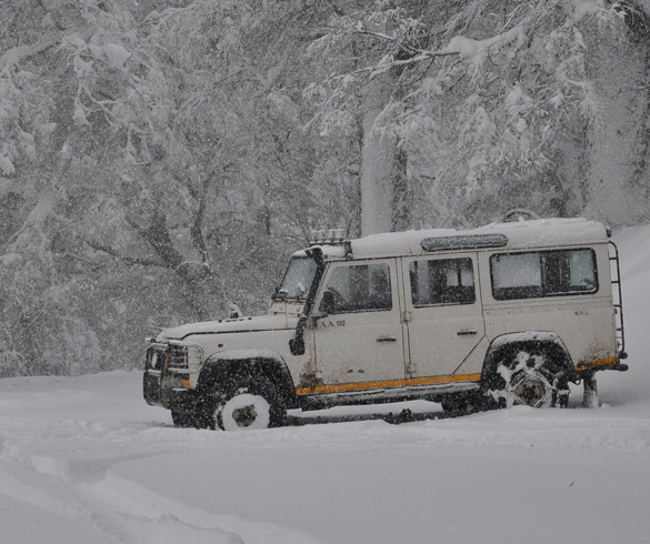 Atividades com 4 x 4 na neve