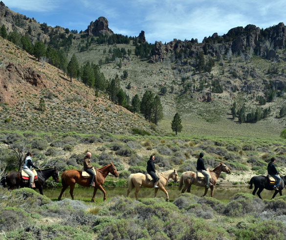 Estepa Bariloche Turismo