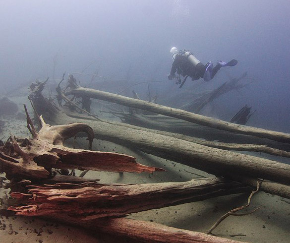 Buceo