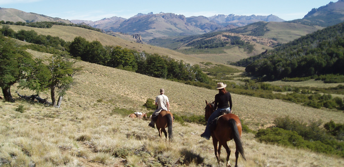 Horseback Riding