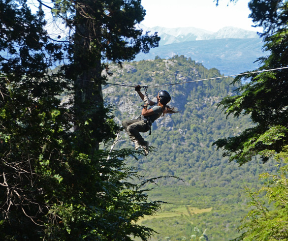 Canopy