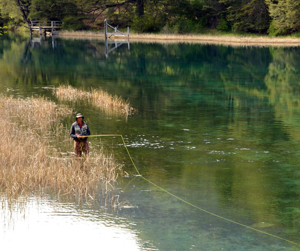 Pesca Desportiva