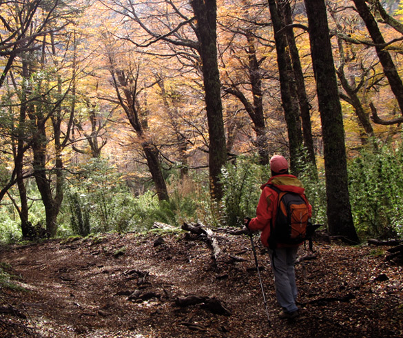 Trekking