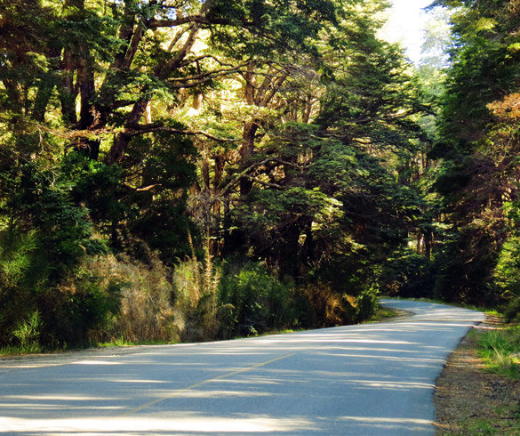 Excursiones en Circuito Chico